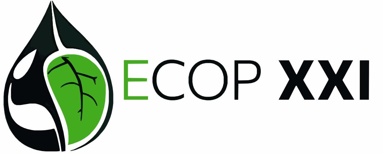 Logo ECOPXXI